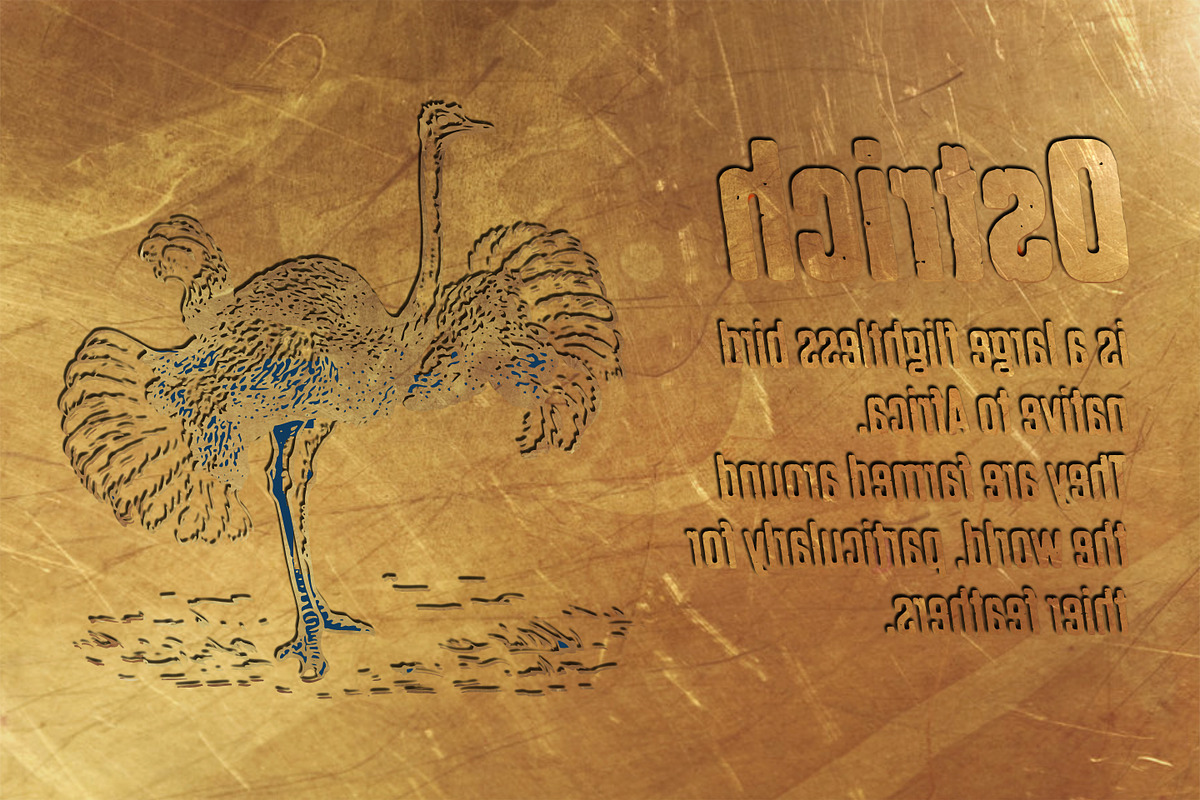 Dharma Gothic P preview 5