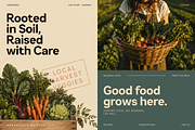 Armonia Sans - Variable Typeface, a Sans Serif Font by VP Fonts (Thumbnail 4 of 33)