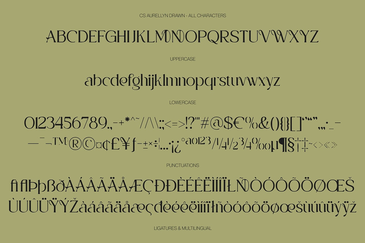 CS Aurellyn Drawn, a Serif Font by Craft Supply Co. (Photo 8 of 8)