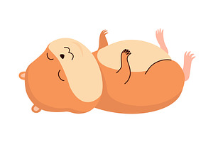 Cartoon hamster. Fluffy domestic pet, an Animal Illustration by the8monkey