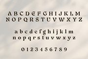 Farin Serif, a Serif Font by Creative Foundry (Thumbnail 5 of 8)