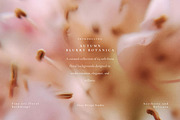 Autumn Blurry Floral Backgrounds, a Background Graphic by Altea Design Studio (Thumbnail 3 of 15)