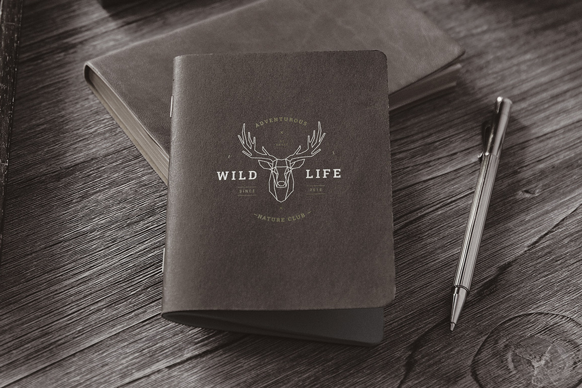 Vintage Badges vol 1, a Branding & Logo Template by blauananas (Photo 4 of 9)