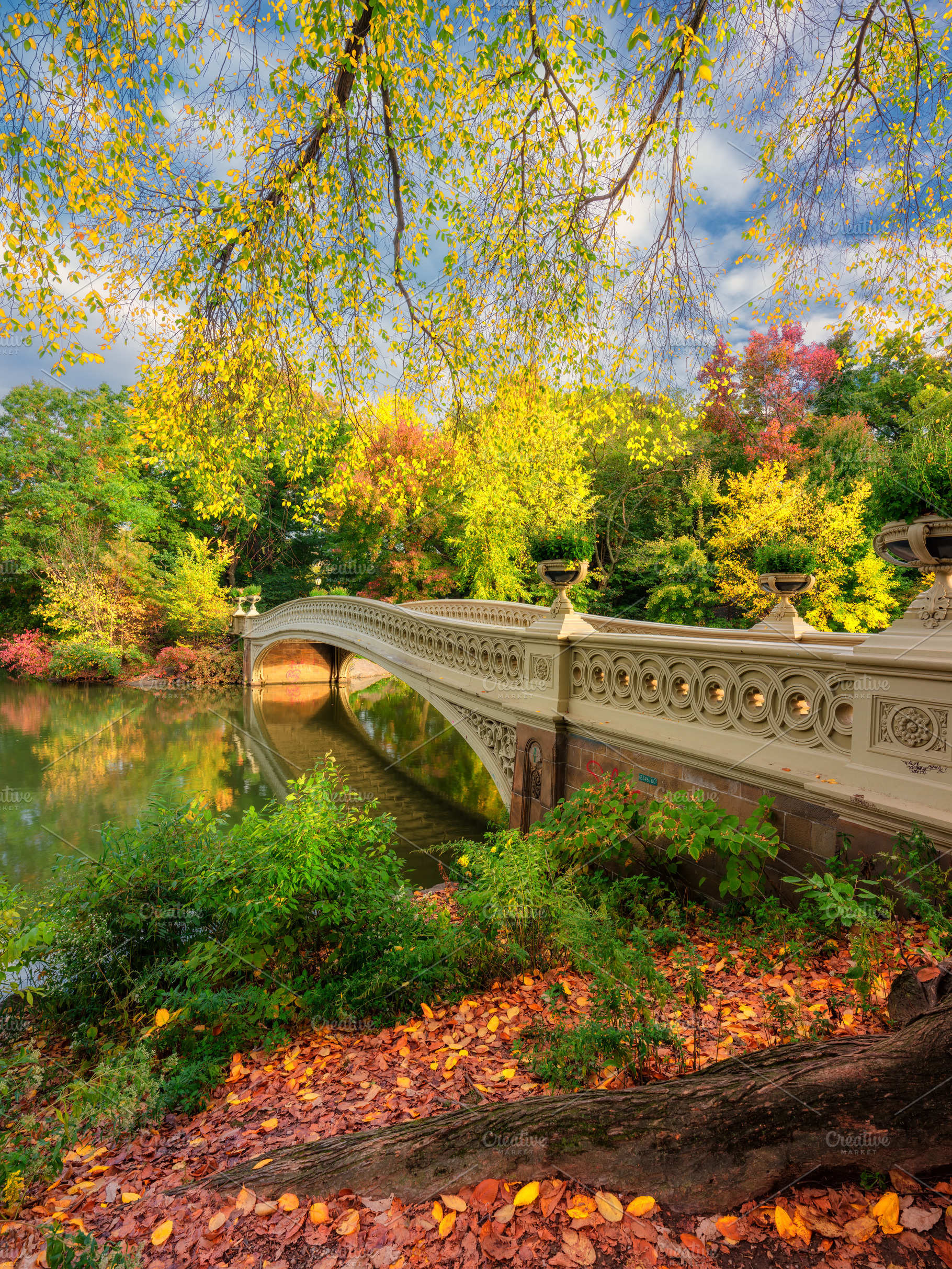 Bow bridge in Central Park, a Nature Photo by Andriy Photography