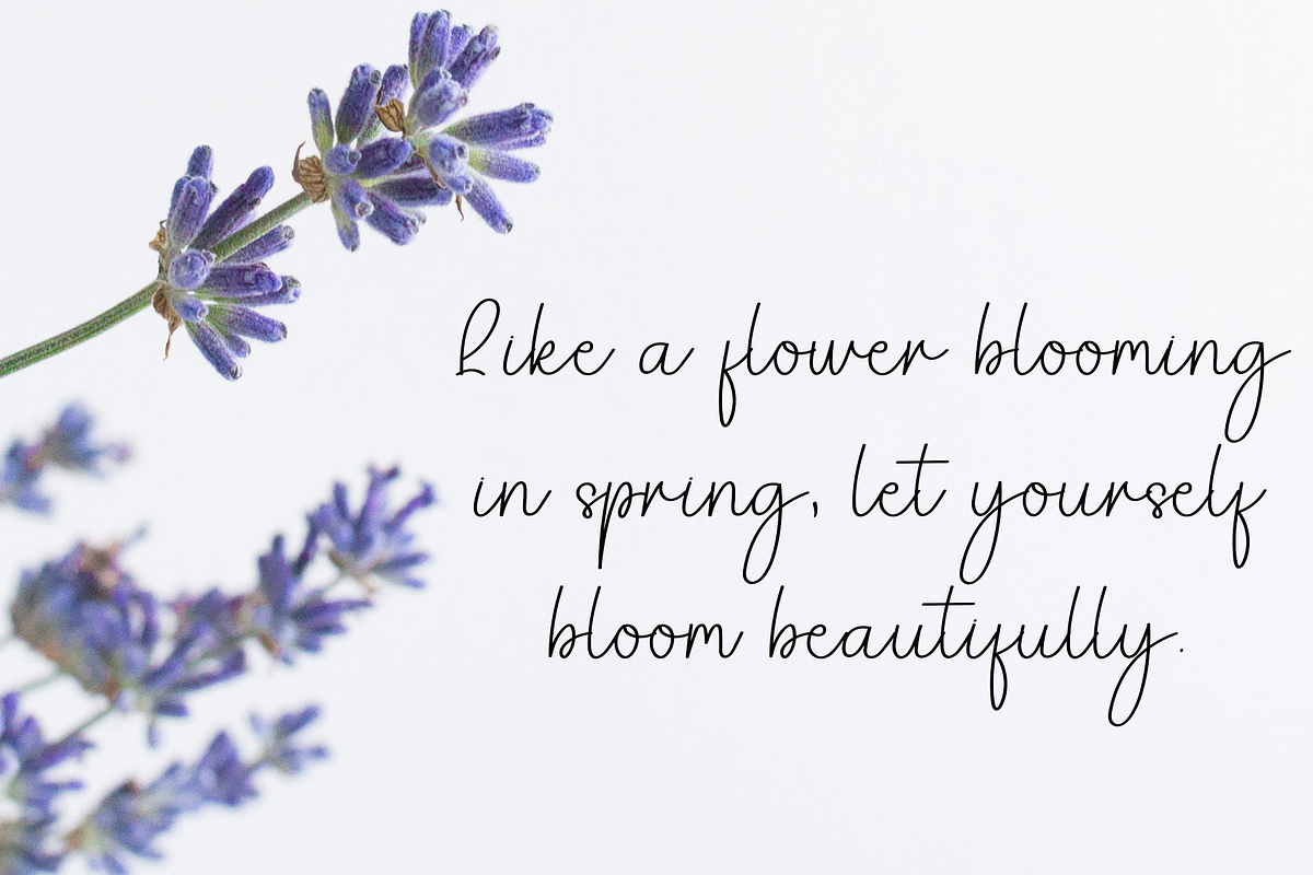 Signature, a Handwritten Font by FreshTypeINK (Photo 7 of 8)