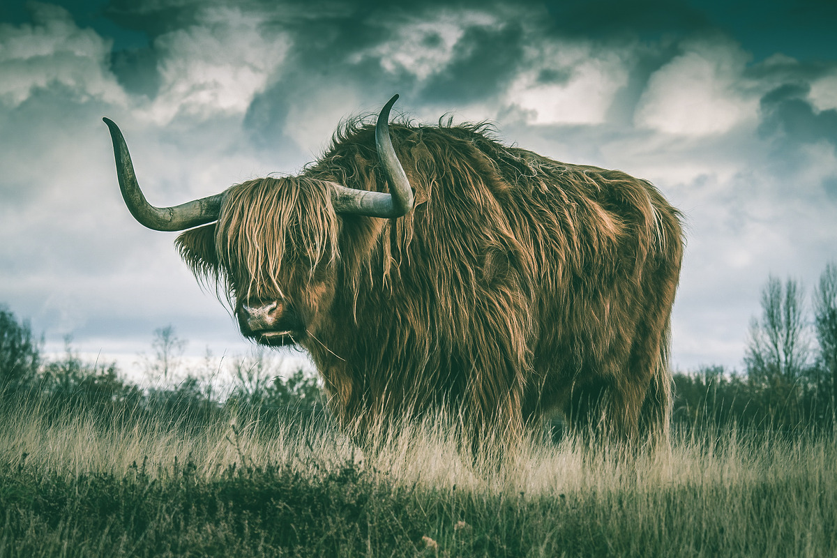300 Professional Lightroom Presets, an Action Add-On by Madison Colt Studios (Photo 14 of 29)