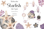 Watercolor Starfish Life Cycle Set, an Education Illustration by MayaNavits (Thumbnail 1 of 8)