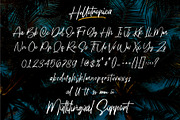 Hellotropica Handbrush Fonts, a Script Font by Garisman Std (Thumbnail 8 of 10)