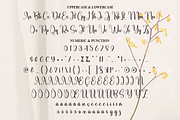 Starkey | Script Font, a Handwritten Font by Scratchones (Thumbnail 7 of 9)