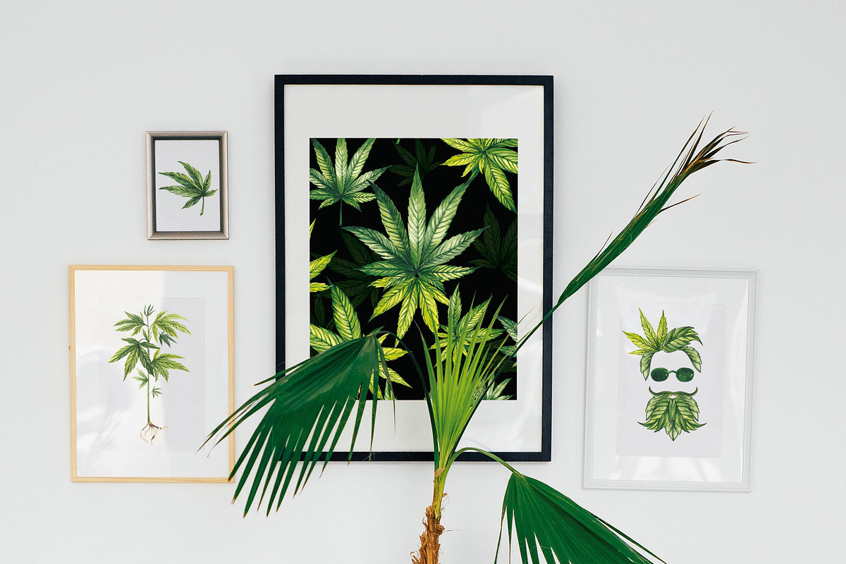 CANNABIS, a Decorative Illustration by Elena_Sedova (Photo 13 of 16)
