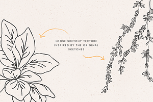 Botanical Sketchbook Vectors