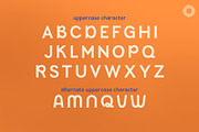 Sakarine - Sans Serif, a Sans Serif Font by Setara Langit CreativeStd (Thumbnail 10 of 10)