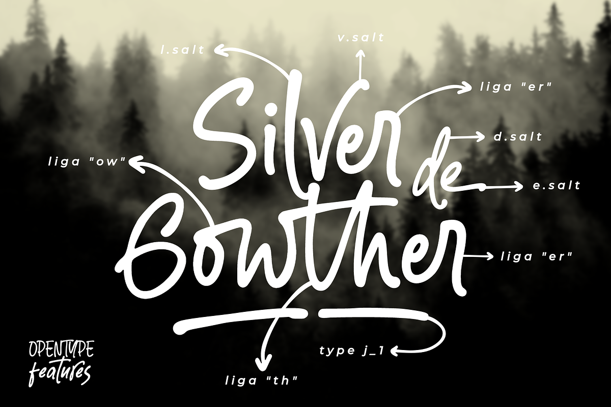 Silver Gowther Marker Font, a Script Font by Ainun Jinan (Photo 9 of 11)