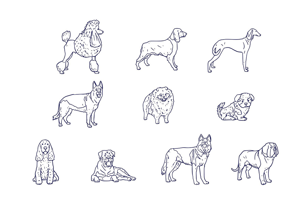 Breeds Dog Handdrawn Vol 2, an Animal Illustration by SLAB! Design (Photo 3 of 3)