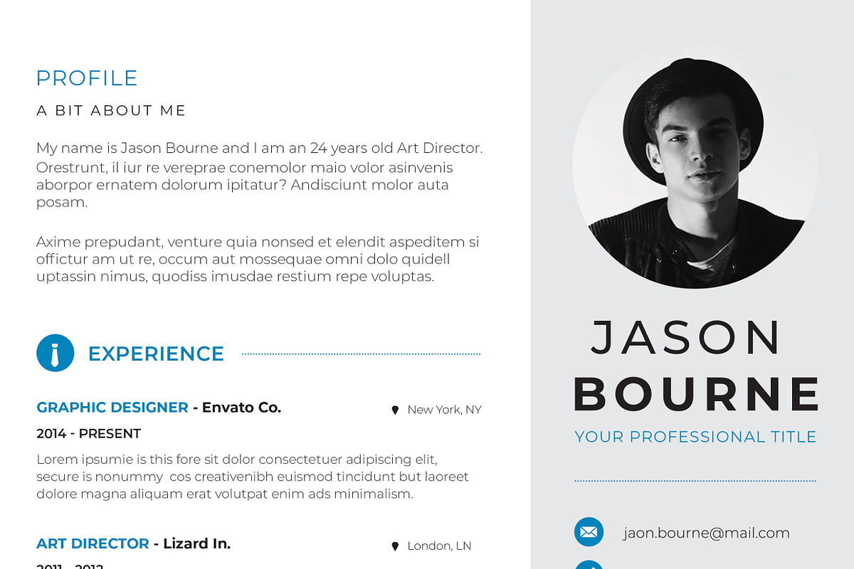 Info-graphic Resume/CV, a Resume Template by UX-group (Photo 4 of 5)
