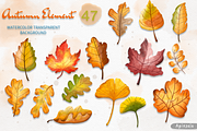 Autumn Animal Clipart, Fall Clipart, an Animal Illustration by Apixsala (Thumbnail 8 of 15)