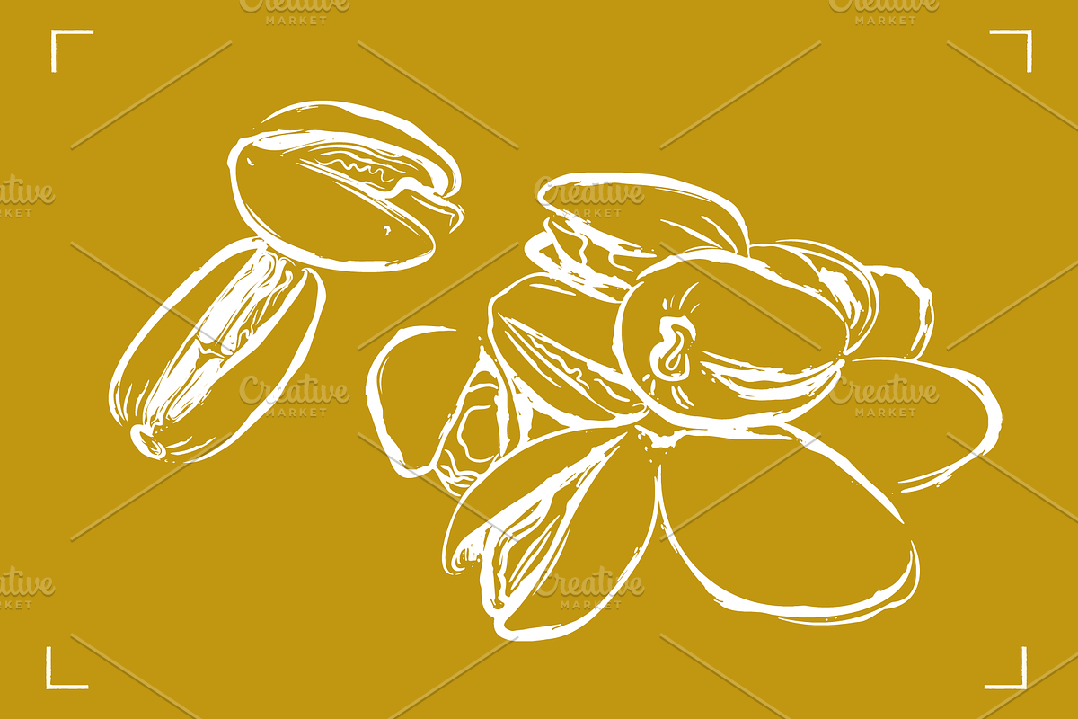 PISTACHIOS LINE ART (12+ ELEMENTS), a Food Illustration by Bonfloret Studio (Photo 5 of 7)
