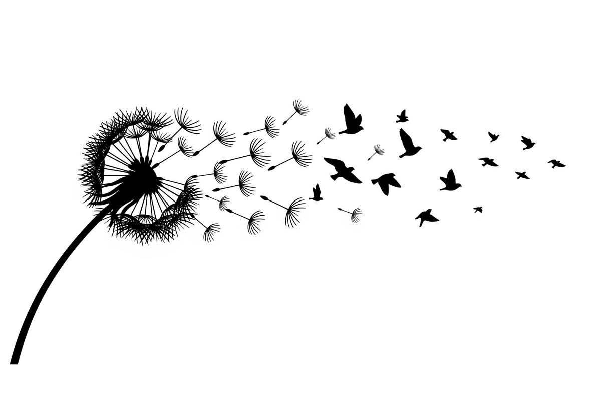 Dandelion Blow Silhouette Bundle, an Illustration by yasushie (Photo 13 of 31)