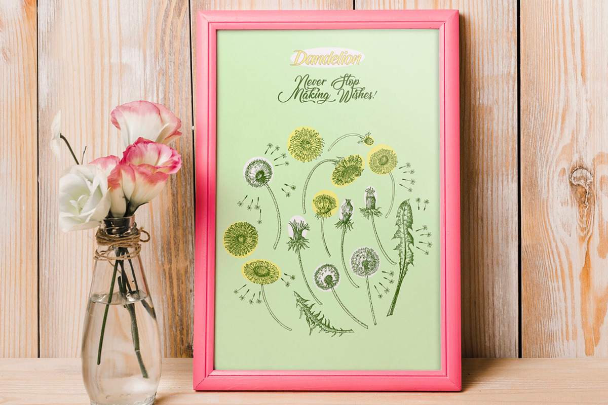Dandelions Digital Clipart, a Decorative Illustration by Nataliapiache (Photo 4 of 4)
