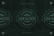 Campeno Vintage, a Sans Serif Font by Craft Supply Co. (Thumbnail 5 of 8)
