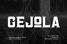 Gejola Bold Vintage Serif Font