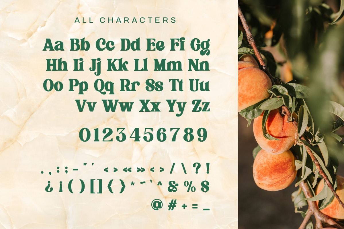 Flagfies - Modern Retro Font, a Serif Font by Dhabee (Photo 2 of 15)