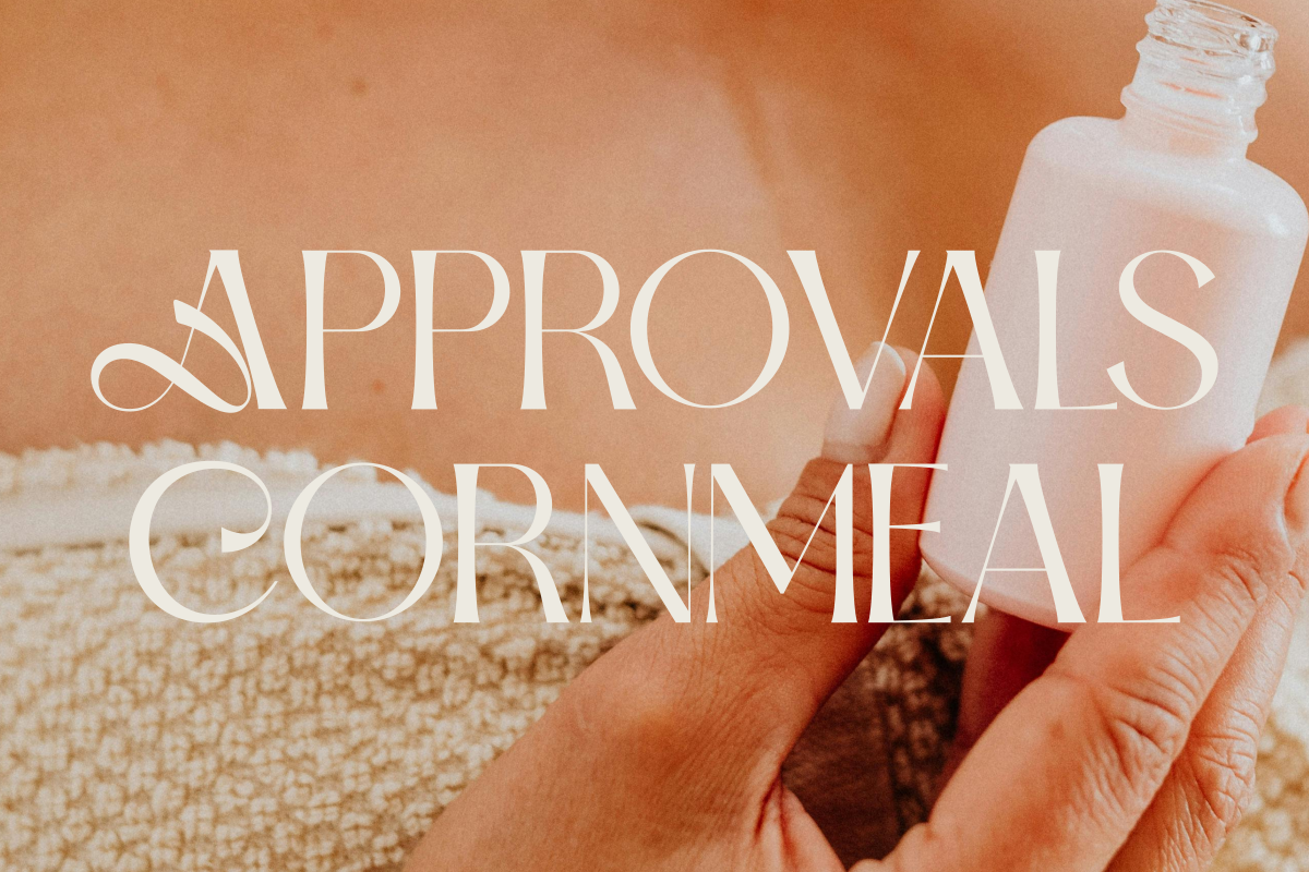 Dolmira, a Sans Serif Font by zaaintype (Photo 6 of 12)