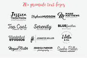 Big Hand Drawn Logo Kit, a Branding & Logo Template by Brandi Lea Designs (Thumbnail 25 of 32)