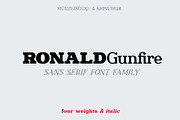 Ronald Gunfire Serif Font Family, a Slab Serif Font by Sentavio (Thumbnail 1 of 12)