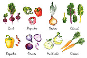 Food watercolor. Vegetables, a Food Illustration by irina.vaneeva (Thumbnail 7 of 25)