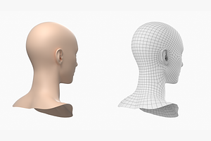 Natural Female Head 01 Generic Mesh