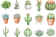 Watercolor Succulent Cactus Clipart, an Illustration by Designking (Thumbnail 2 of 5)