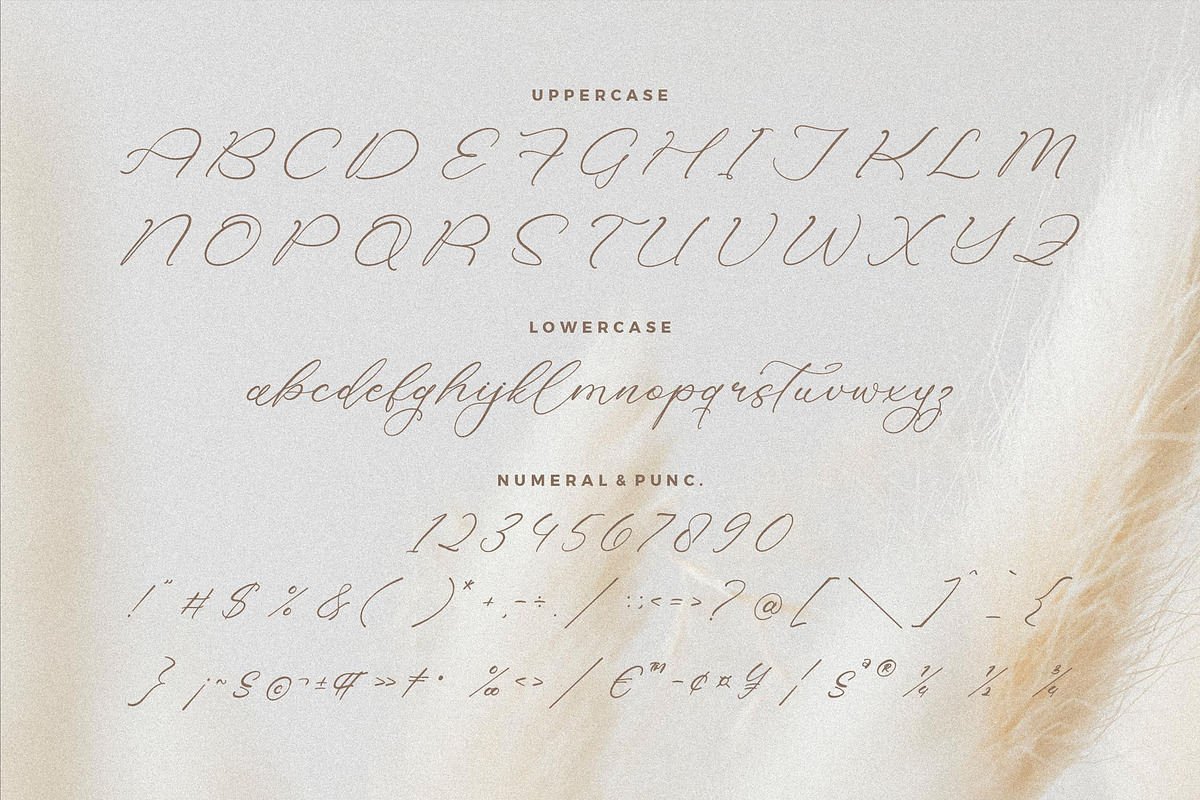 Holicakes Serfinah Beauty Script, a Script Font by Storytype Studio (Photo 13 of 15)