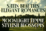 Luxury Ligature Serif Font - Arogel, a Serif Font by Say Studio (Thumbnail 8 of 10)