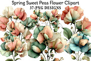 Spring Sweet Peas Flower Clipart, an Illustration by Daily.Designs (Thumbnail 1 of 8)