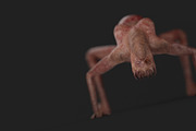 Mother of Monsters, a Characters & Person 3D Model by NojskaAksjon (Thumbnail 21 of 31)