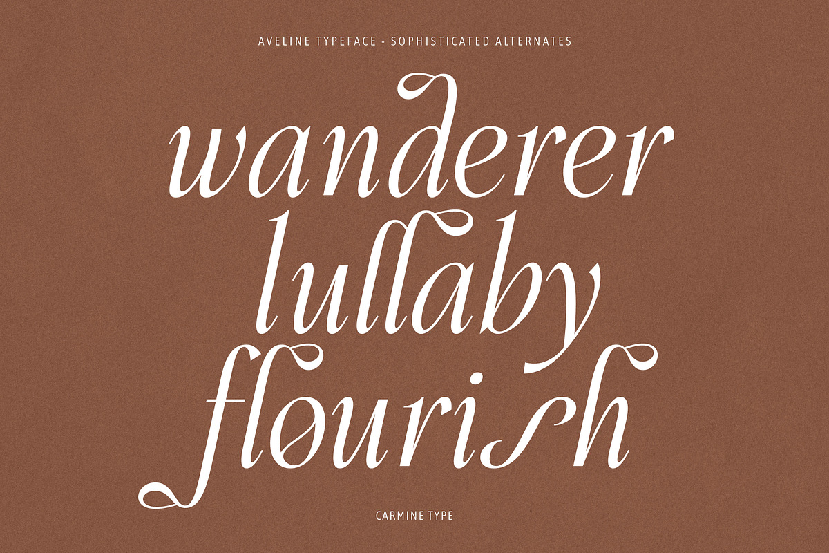 Aveline, Soft Serif with Ligatures, a Serif Font by CarmineType (Photo 2 of 28)
