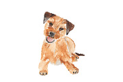 Watercolor Dog Bundle Border Terrier, an Illustration by Foxery Digital (Thumbnail 3 of 4)