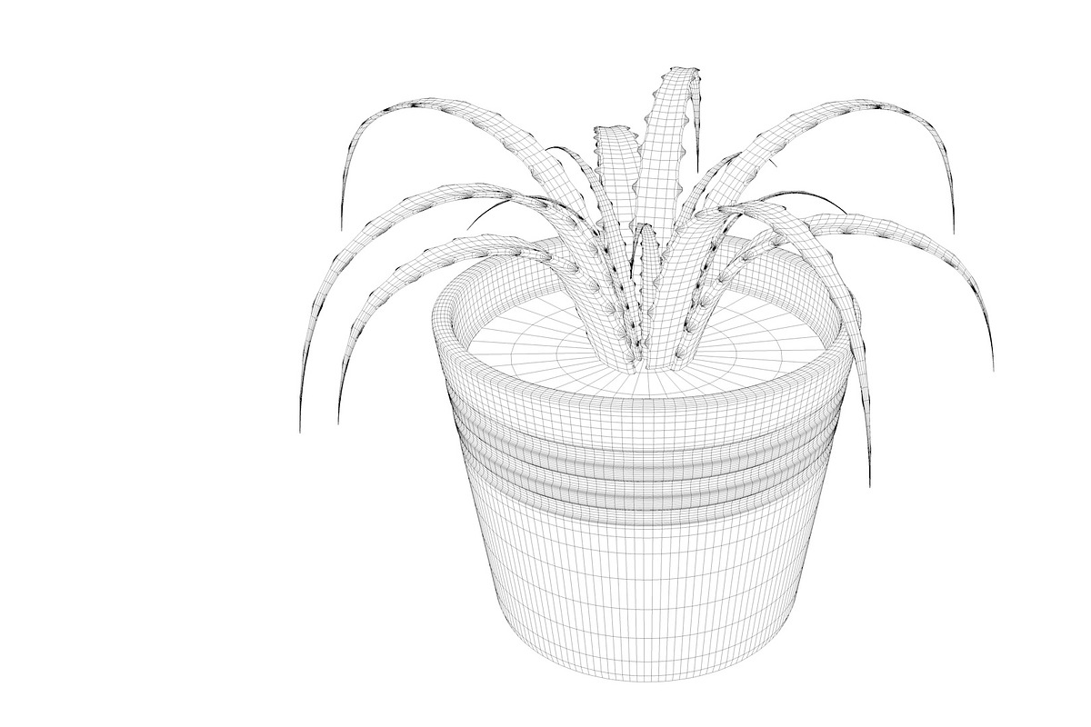 Plant n°1, an Object 3D Model by 3D Furnishing (Photo 16 of 20)