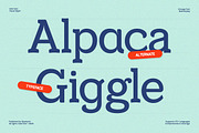 GC Chalke – Refined Slab Display, a Slab Serif Font by Glyphonic (Thumbnail 10 of 15)