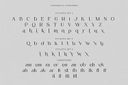 Asteris, a Serif Font by din-studio.com (Thumbnail 7 of 11)