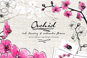 Vector Watercolor Orchid, a Decorative Illustration by Dora Katona (Thumbnail 1 of 4)