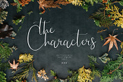 Meraviglias, a Script Font by Pollux of Geminorum (Thumbnail 3 of 12)