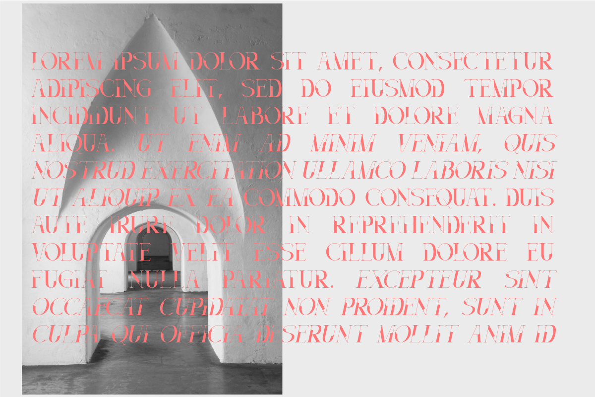Decoslice, a Serif Font by Muksal Creative (Photo 8 of 10)