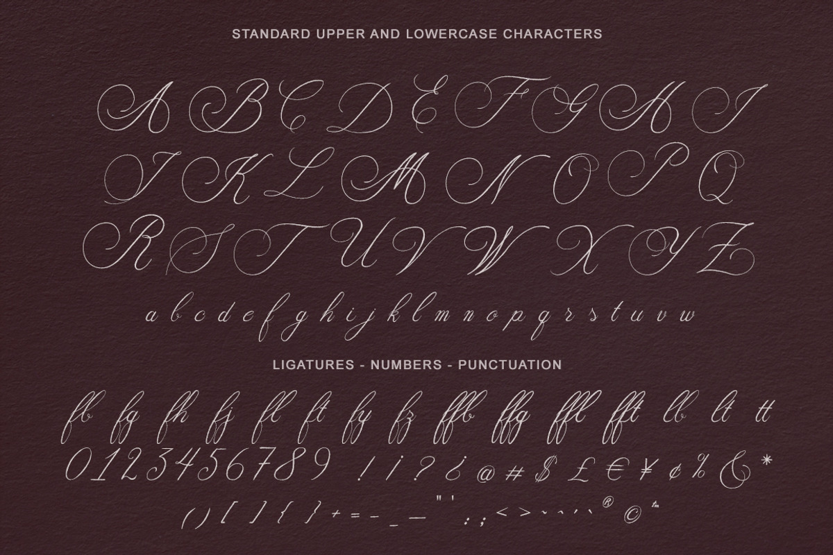 Fleurienne – Handwritten Script Font, a Handwritten Font by Gau Silva Studio (Photo 6 of 6)