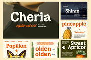Retro Bundle Collection V2 - 99% OFF, a Serif Font by Dharmas Foundry (Thumbnail 8 of 21)