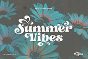 Dorris - Swirly Summer font family, a Slab Serif Font by creativemedialab (Thumbnail 3 of 18)