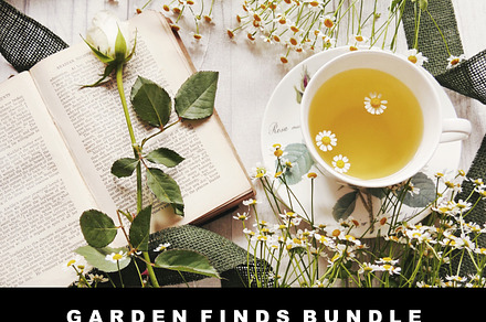 Garden Finds Flatlay Photo Bundle, a Photo by The Floral Healer