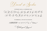 David and Sovhie, a Script Font by Silverdav (Thumbnail 6 of 7)