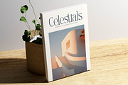 Mostlight Modern Alternate Serif, a Serif Font by Letterena Studios (Thumbnail 2 of 15)